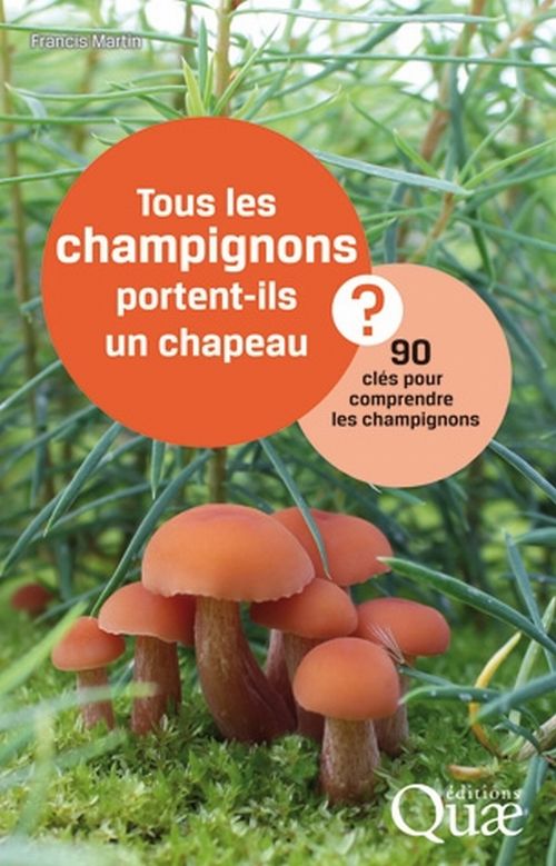 Tous les champignons portent-ils un chapeau ? 90 clés pour comprendre les champignons