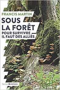 Sous la Forêt – Pour survivre il faut des alliés