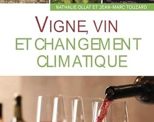 Vigne, Vin et Changement climatique