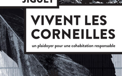 Vivent les corneilles