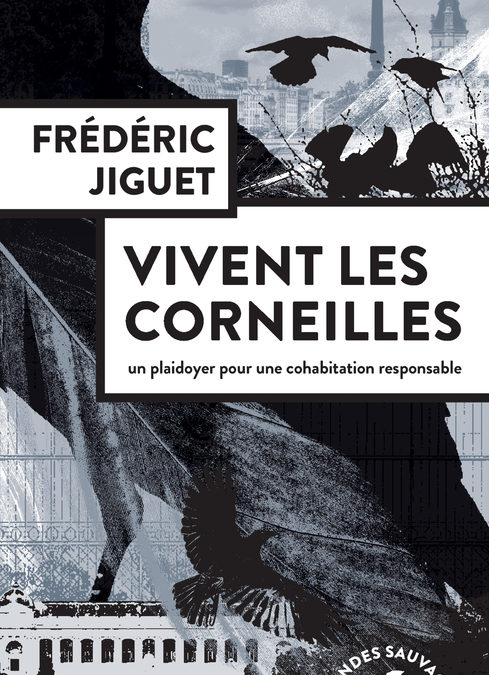 Vivent les corneilles